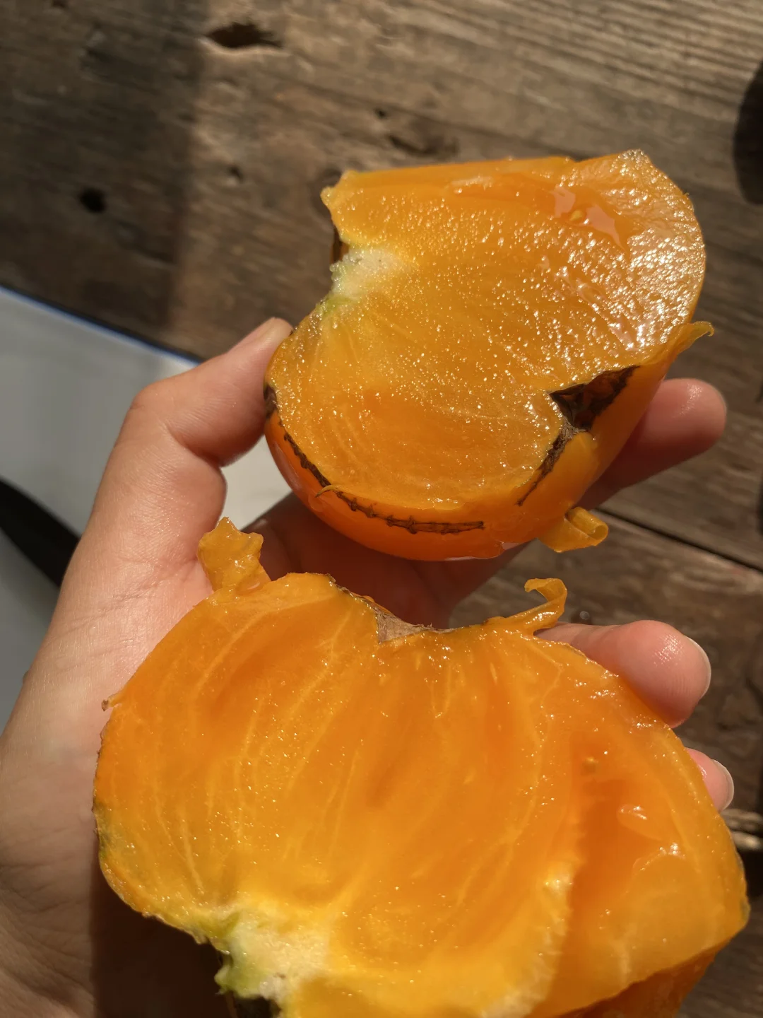 终于明白为什么会有人把番茄叫成柿子了……