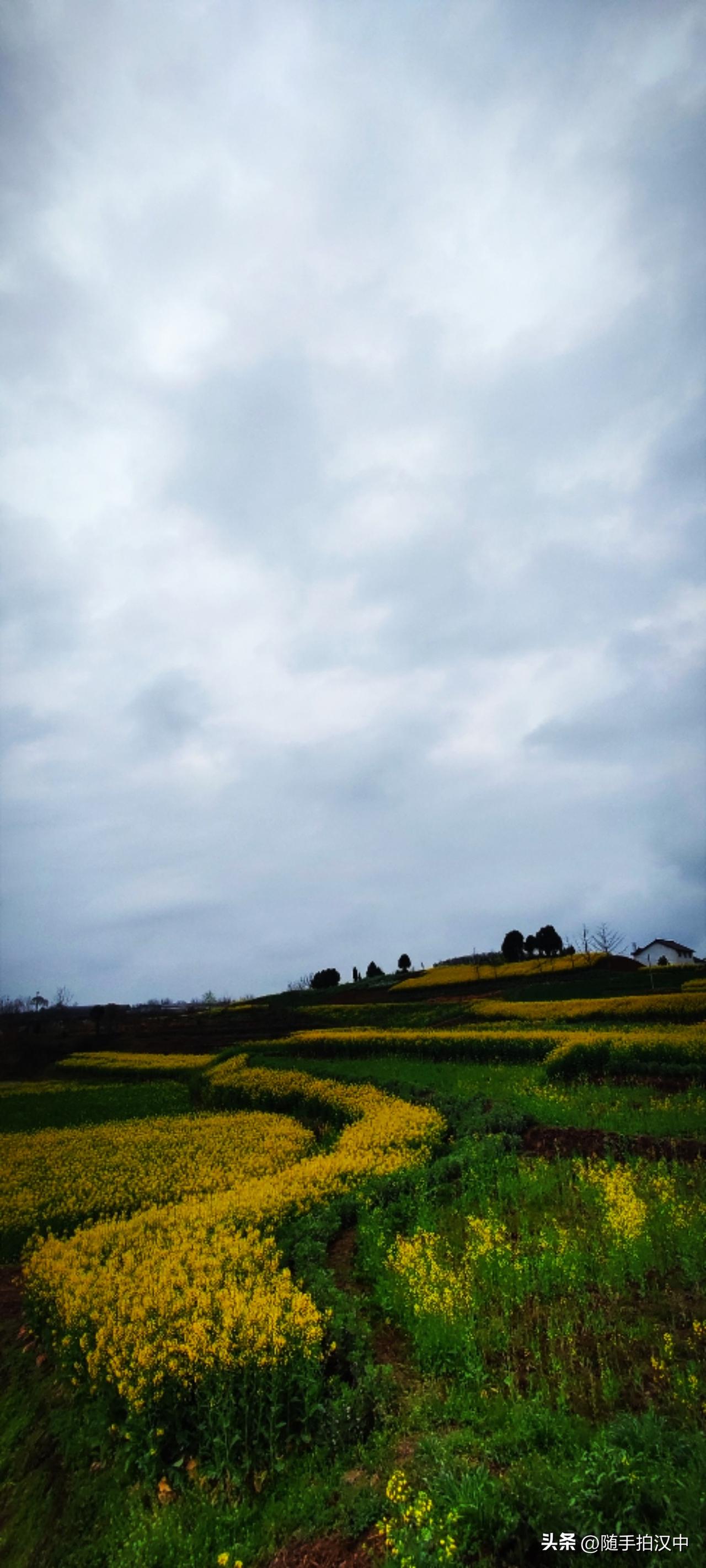 春日生活打卡季远远的农舍是一方烟火气，与浓浓的花意撞了个满怀。凝神眺望，一畦畦散