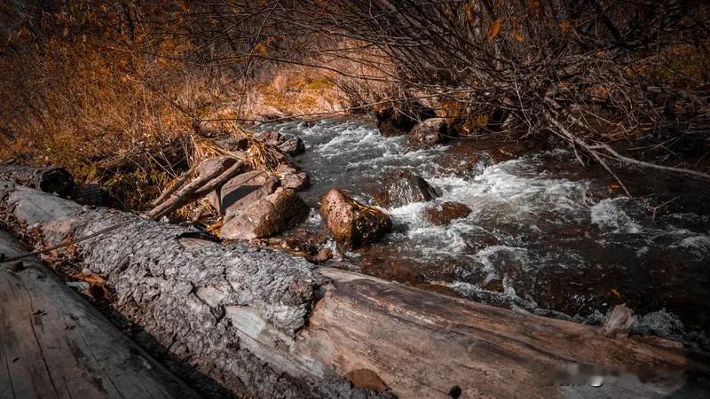 落日跌进昭昭星野，人间忽晚，山河已秋。