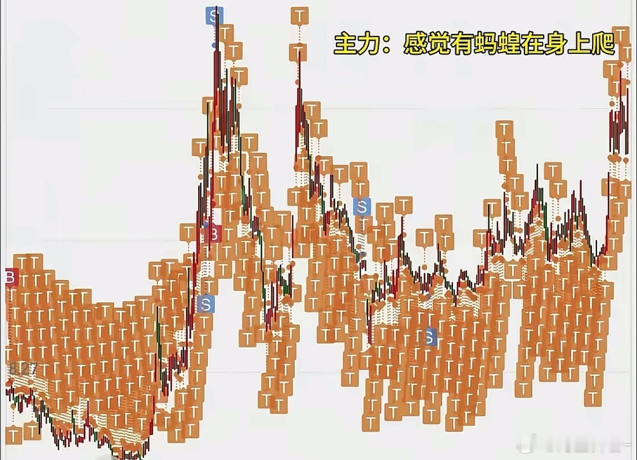 交易所、期货公司战略合作伙伴