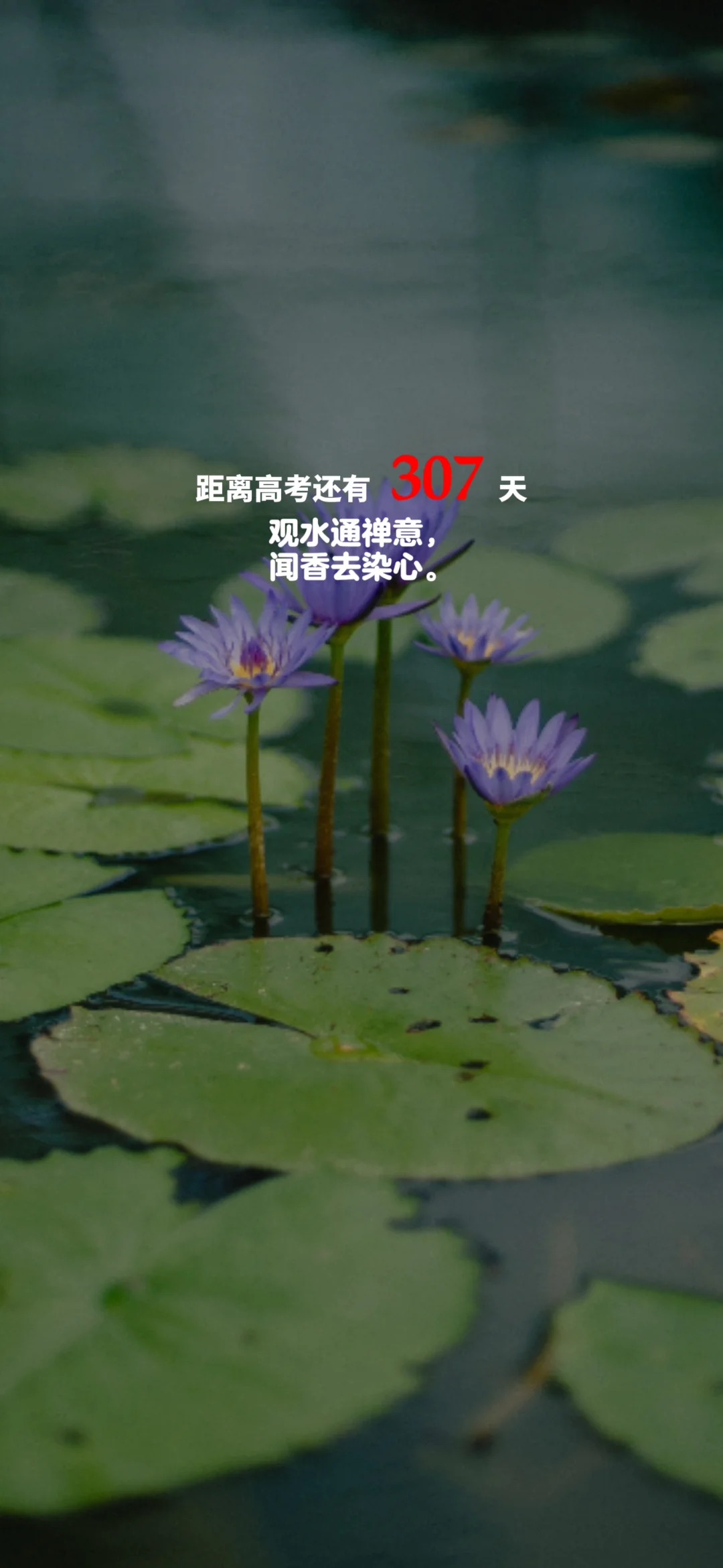 2025高考倒计时，每日更新。