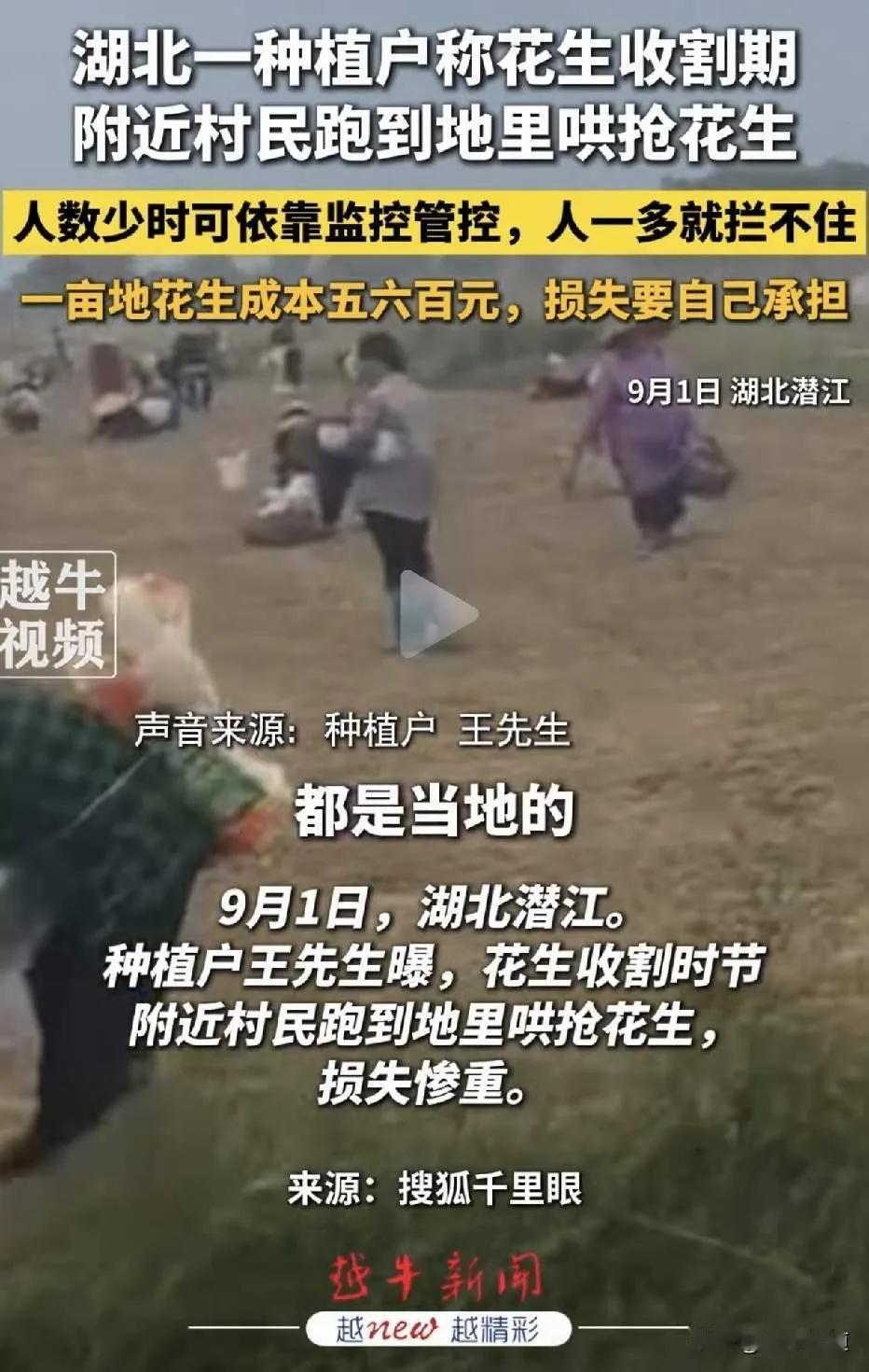 湖北襄阳麦收时“大亩小亩”，收割机手收了麦子反贴钱，收割机上梯子半夜不知被借走！