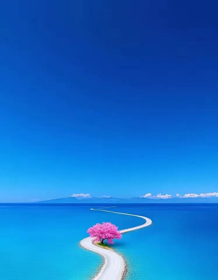 难走的路，从不拥挤，但是孤独。好走的路，人山人海，但是寂寞。
喷泉之所以漂亮，是