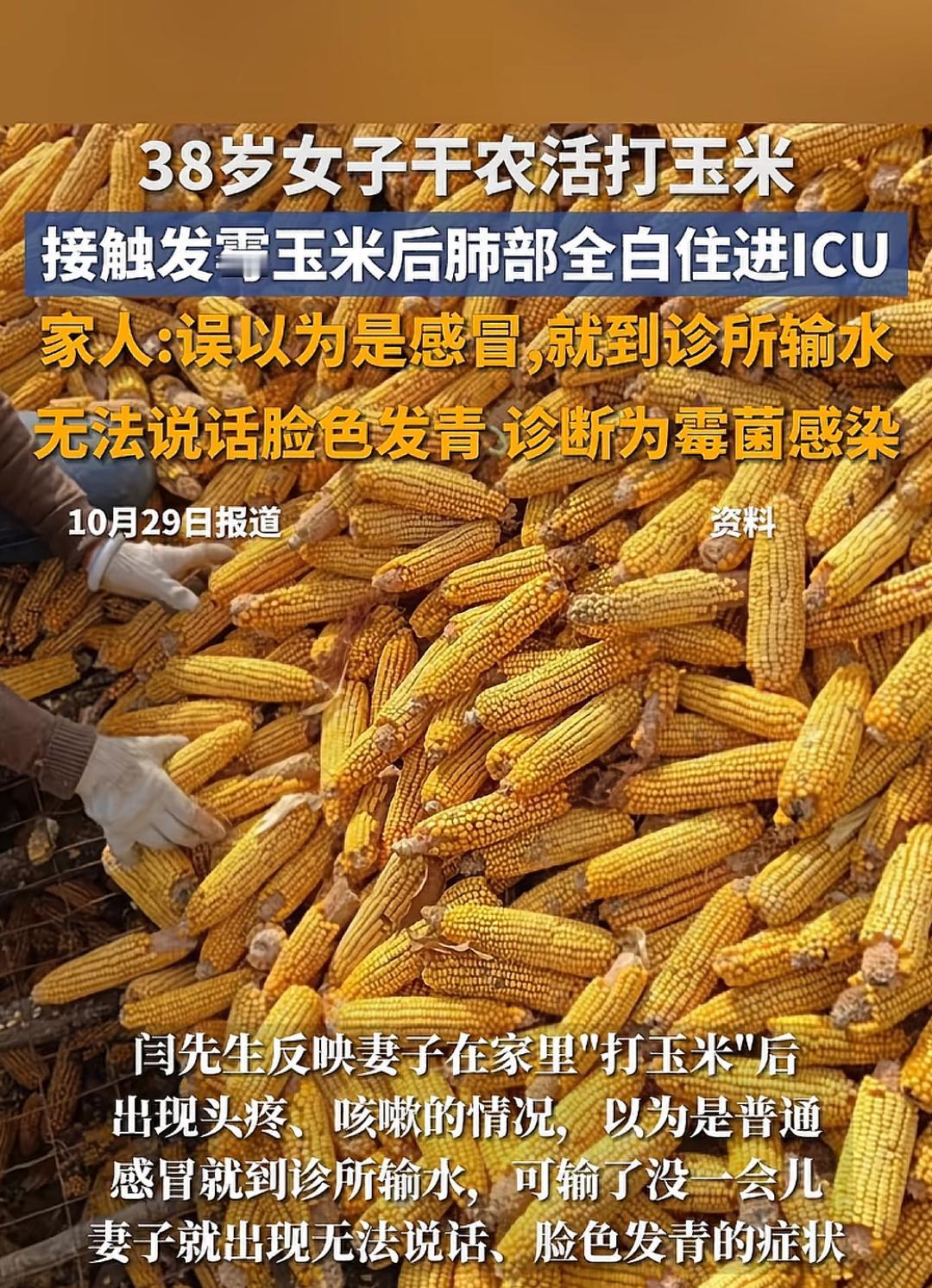 女子接触发霉玉米后肺部全白，家人：误以为是感冒