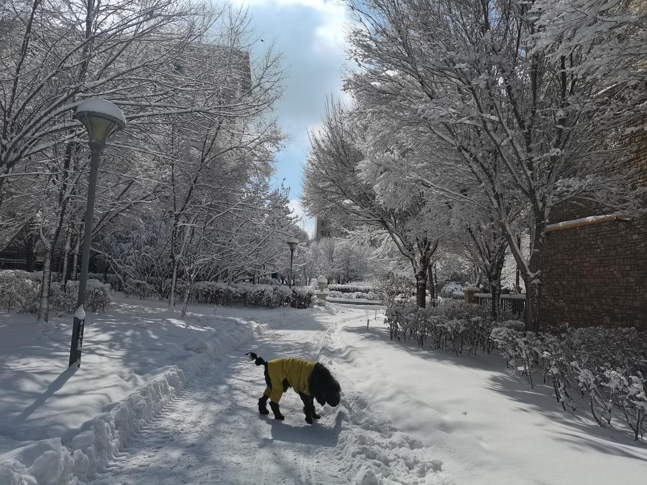 今天看到的一则新闻，反映美国的奇葩现实，让人哭笑不得。这个新闻的主要内容是说，美