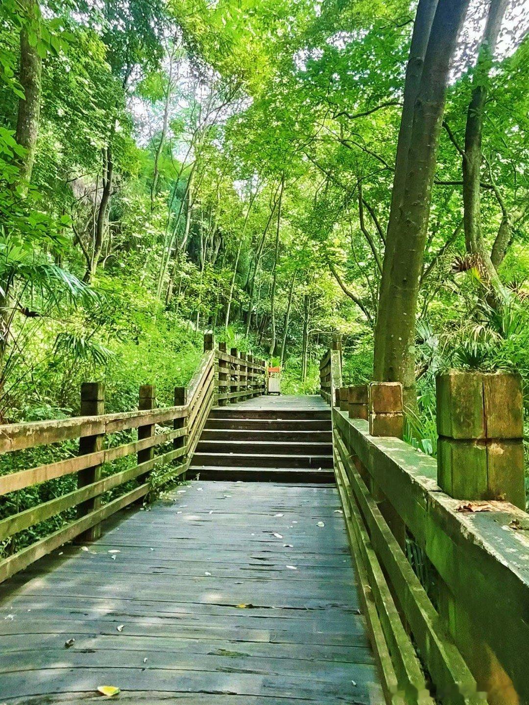 周末郊游爬个山，空气好清新成片的蓝白合增添了一份浪漫气息💕 
