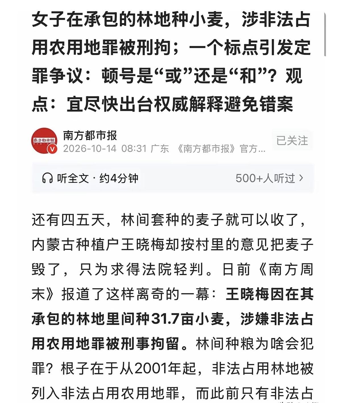 “滑天下之大稽！”内蒙古，女子听信村支书的话，在林地空隙里种麦子、谷物等农作物。