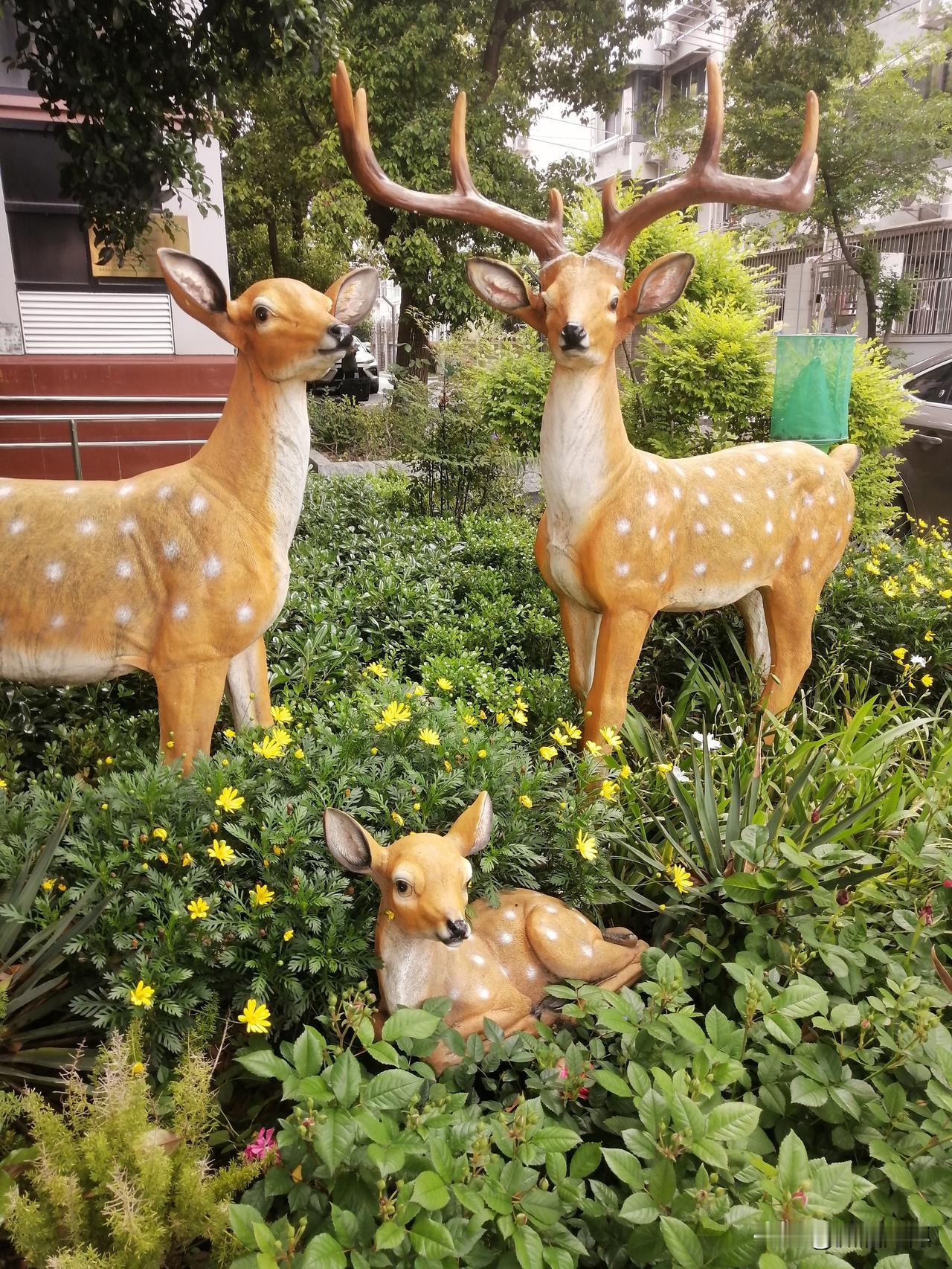 你感恩过帮助你的人吗?我非常感恩帮助过我的人，他们在我的生活过程中给予我很大的关