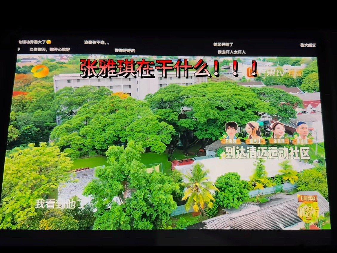 张雅琪 中餐厅存在感上班之后真的特别讨厌这类人，让真正累死累活的人更无力了，有没