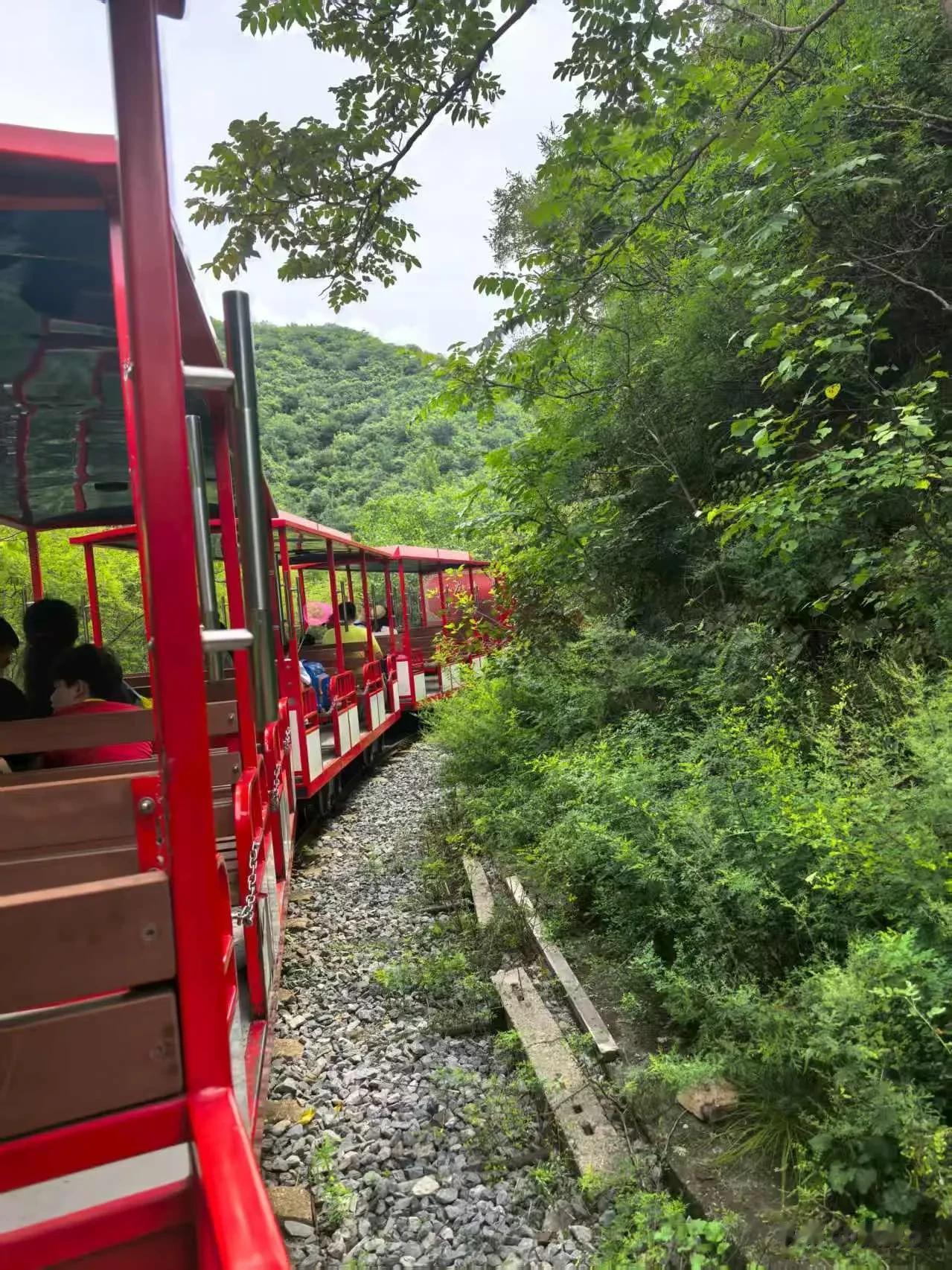 今天周末，爬山
长在悬崖峭壁上的韭菜
周末割韭菜