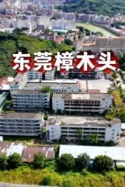 70后打工人的噩梦令人闻风丧胆的樟木头收容所

 改革开放初期南方提供了大量的就