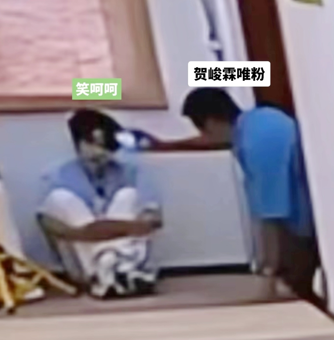 兵哥：专注养兔勿扰 