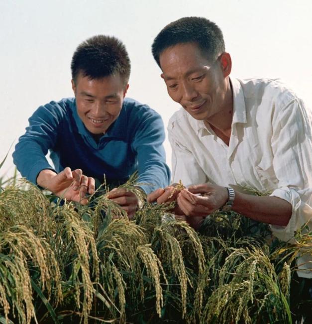 袁老为何值得举国致敬？一生只念苍生温饱，平凡一生却伟大至极。

提起袁隆平，相信