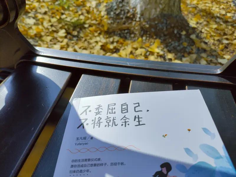 人生一路走来，我最大的感悟就是要学会向内安顿自己。

别高估任何关系，年少时觉得