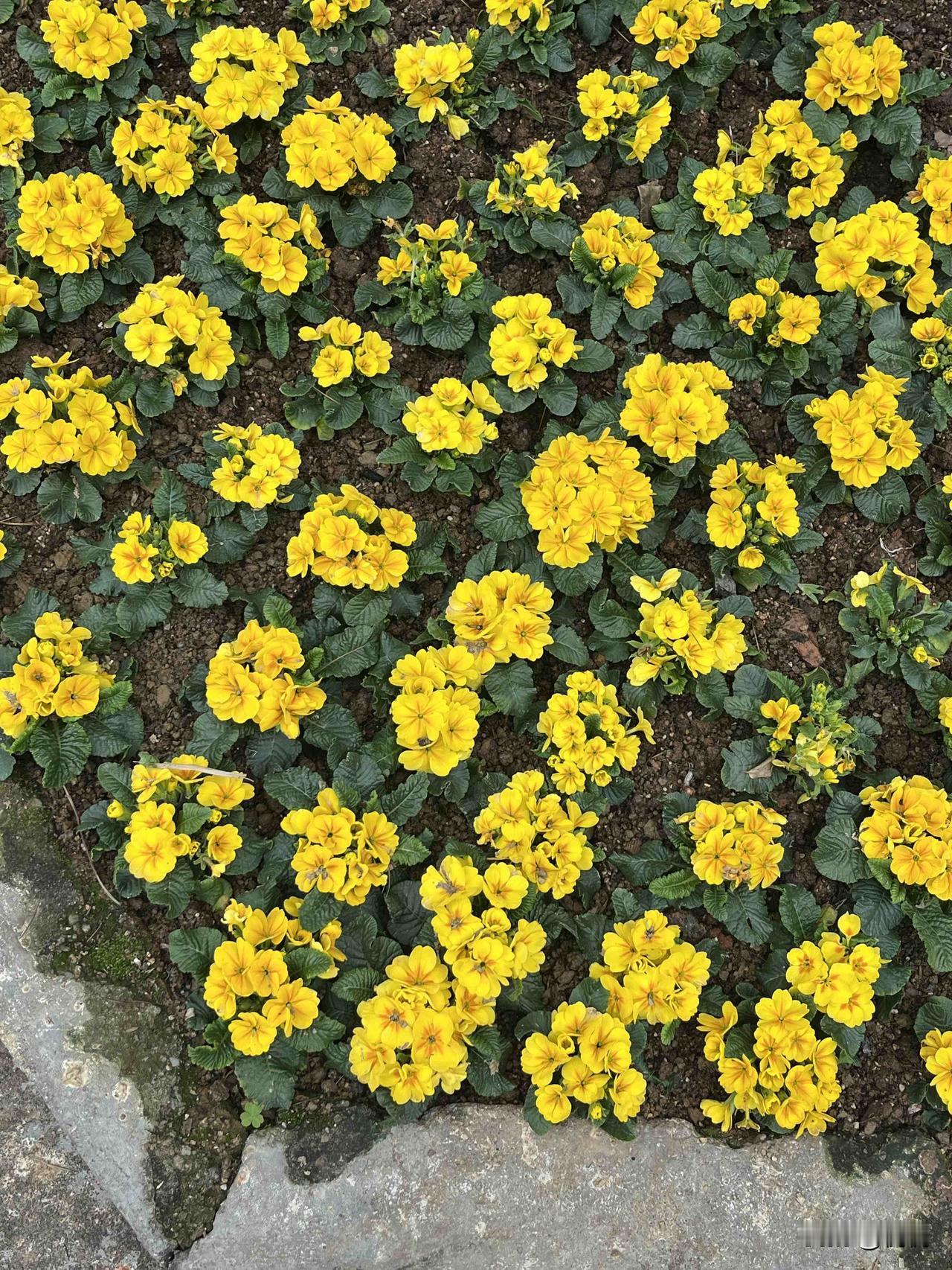 性格不是人生的“定数”，却是影响人生走向的重要底色。它像一把无形的钥匙，时而为我