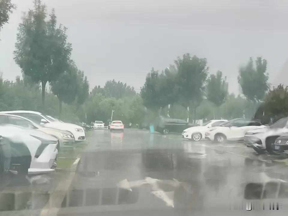 东营的天气仿佛被施了魔法，上午闷热得让人喘不过气，一丝风也不见踪影。下午四点多，