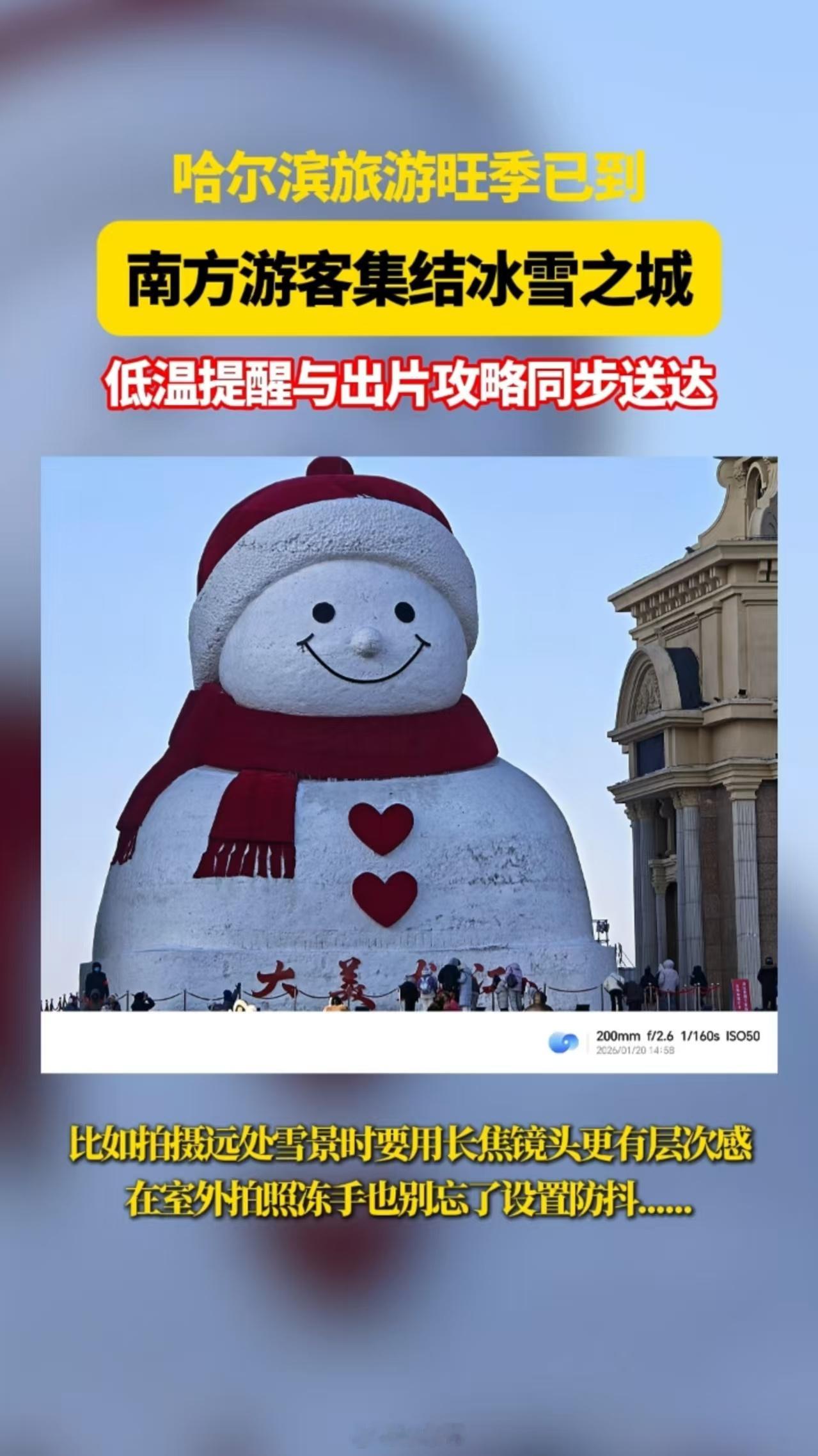 哈尔滨今年也太出片了哈尔滨大片根本看不完 在哈尔滨，南方游客体验着寒冷与美好。在