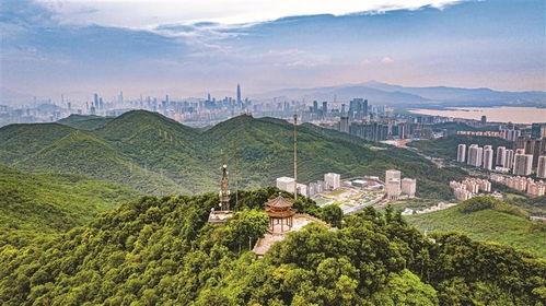 《小山那边有一片海》每日一诗

我翻过家乡那座小山，
穿过一片山林，
就看到这片