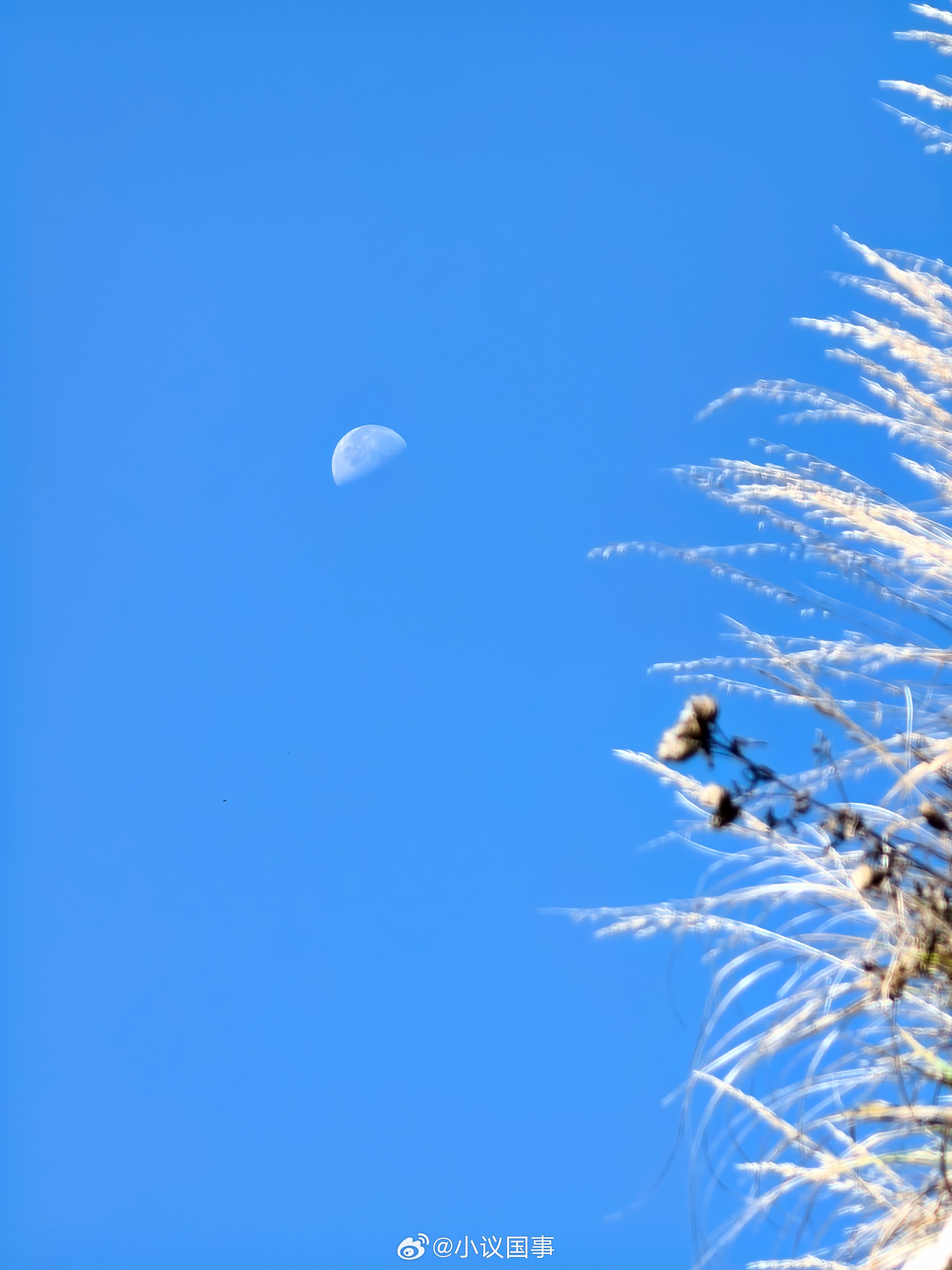 很多时候，真正导致事件走向的未必就是事件本身，而是应对事件的方式和应对者的情绪把