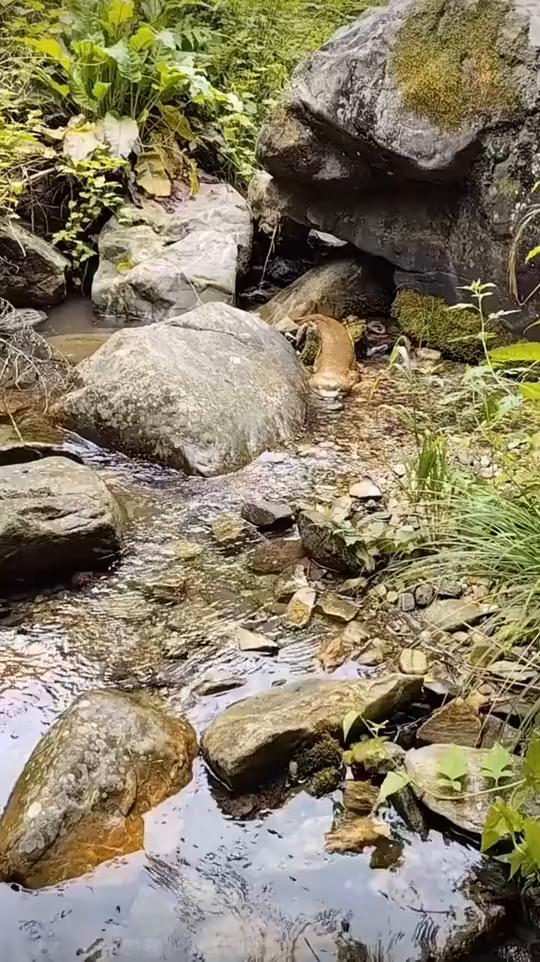 啊，啊，啊，啊，啊，啊，啊，啊，啊，啊，啊，啊，啊，啊，啊，啊。