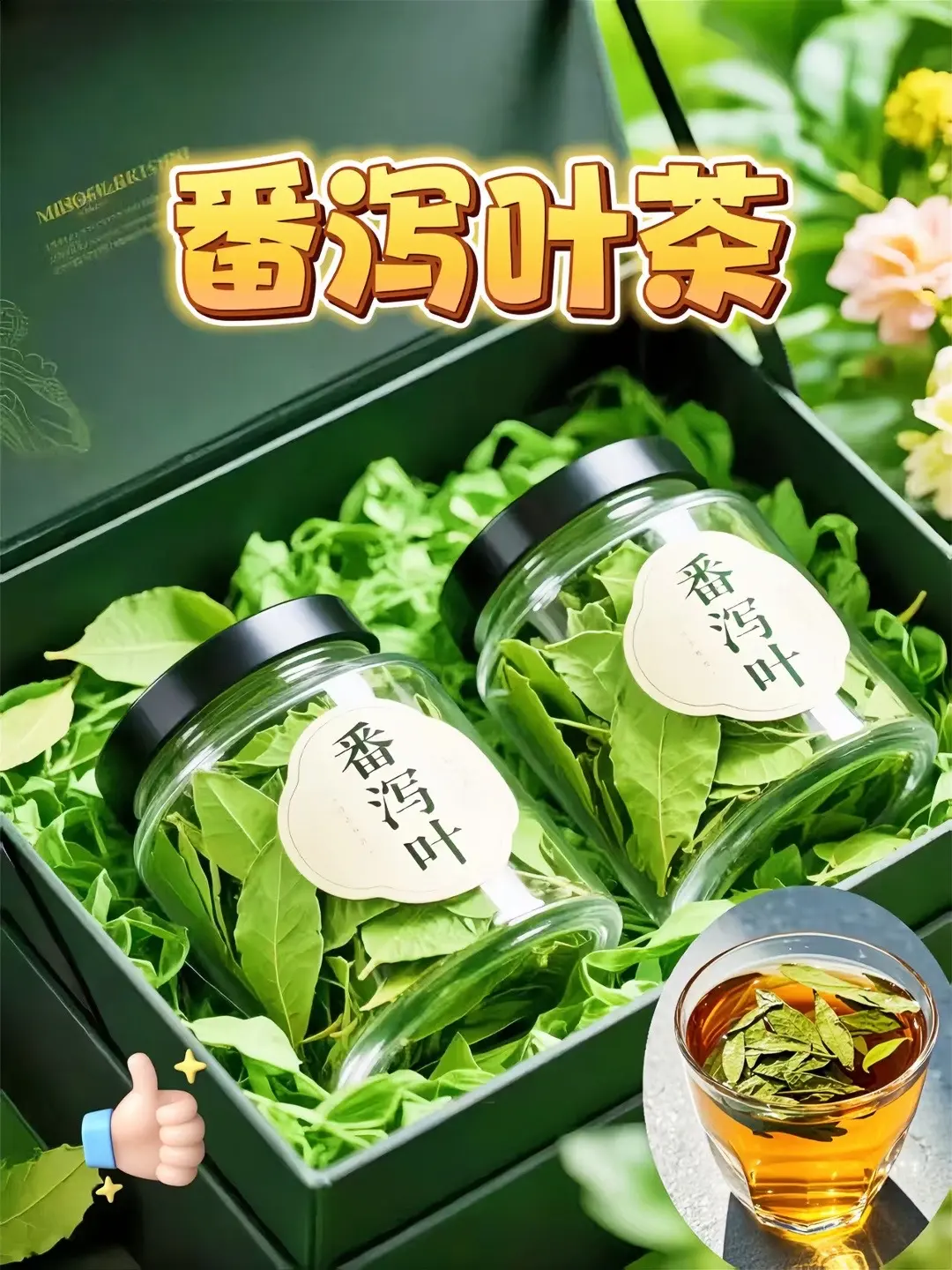 邂逅番泻叶，探寻自然的秘语 在植物的奇妙王国中，番泻叶宛如一位低调的隐...