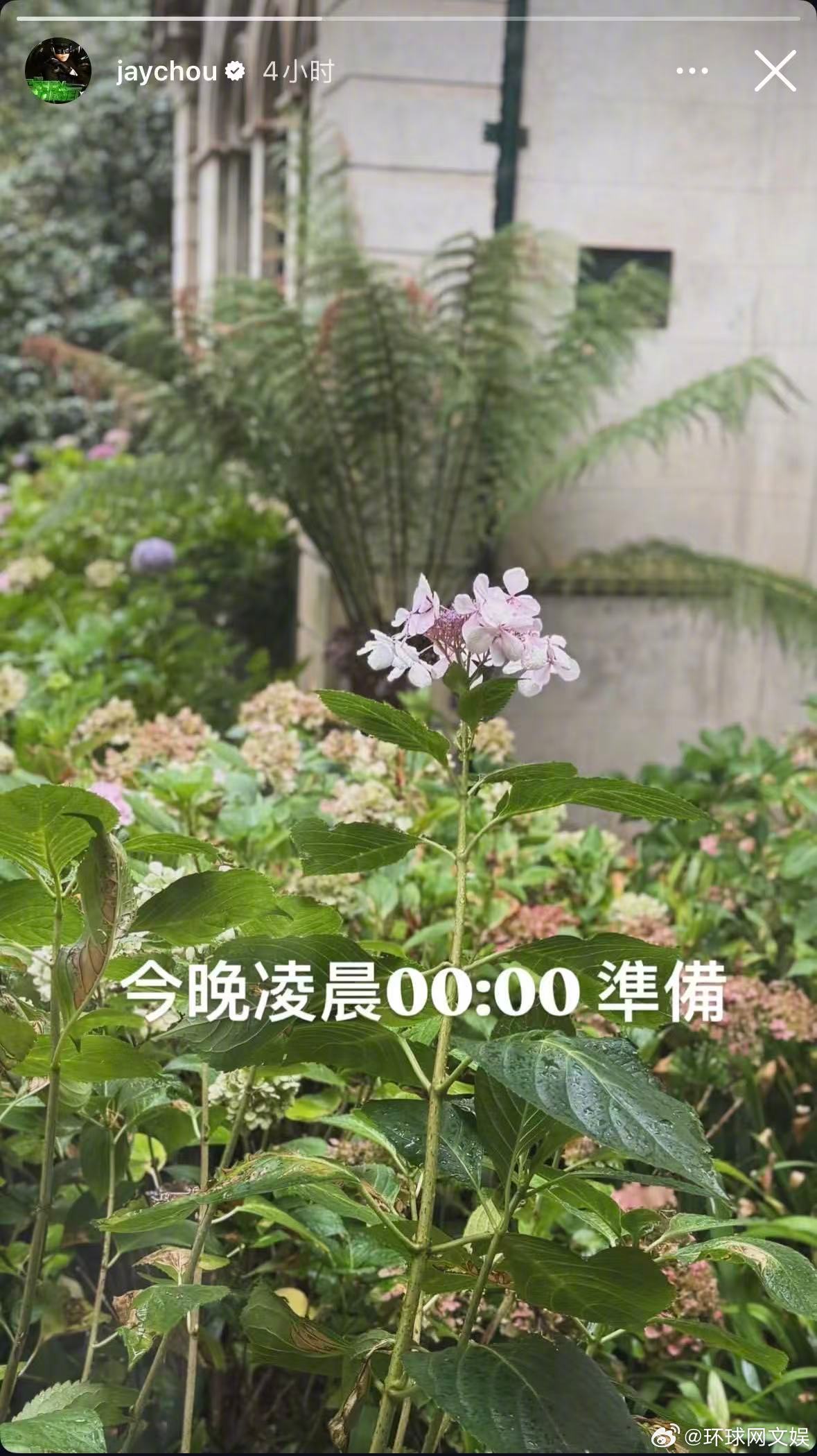 【#周杰伦今晚凌晨0点准备# 】周杰伦在社交媒体上发图片配文：“今晚凌晨0点准备