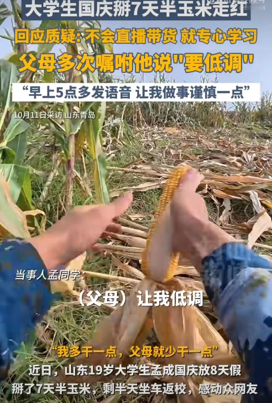 别人放假刷景点，青岛农业大学大一新生孟成却把自己“种”进了老家的玉米地：8天假期