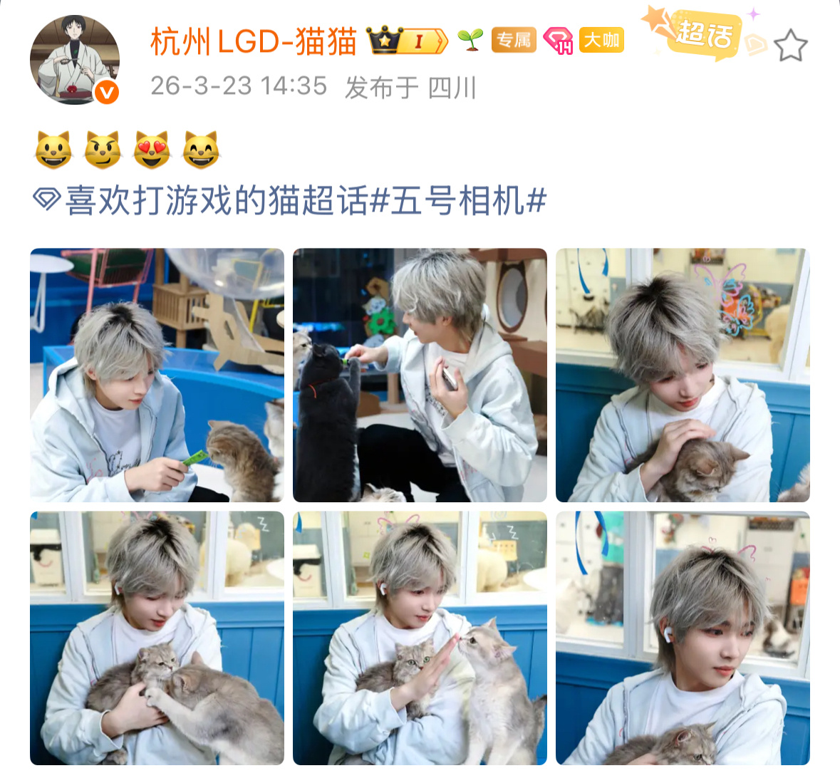 喜欢打游戏的猫  《猫与猫》2026pel春季赛