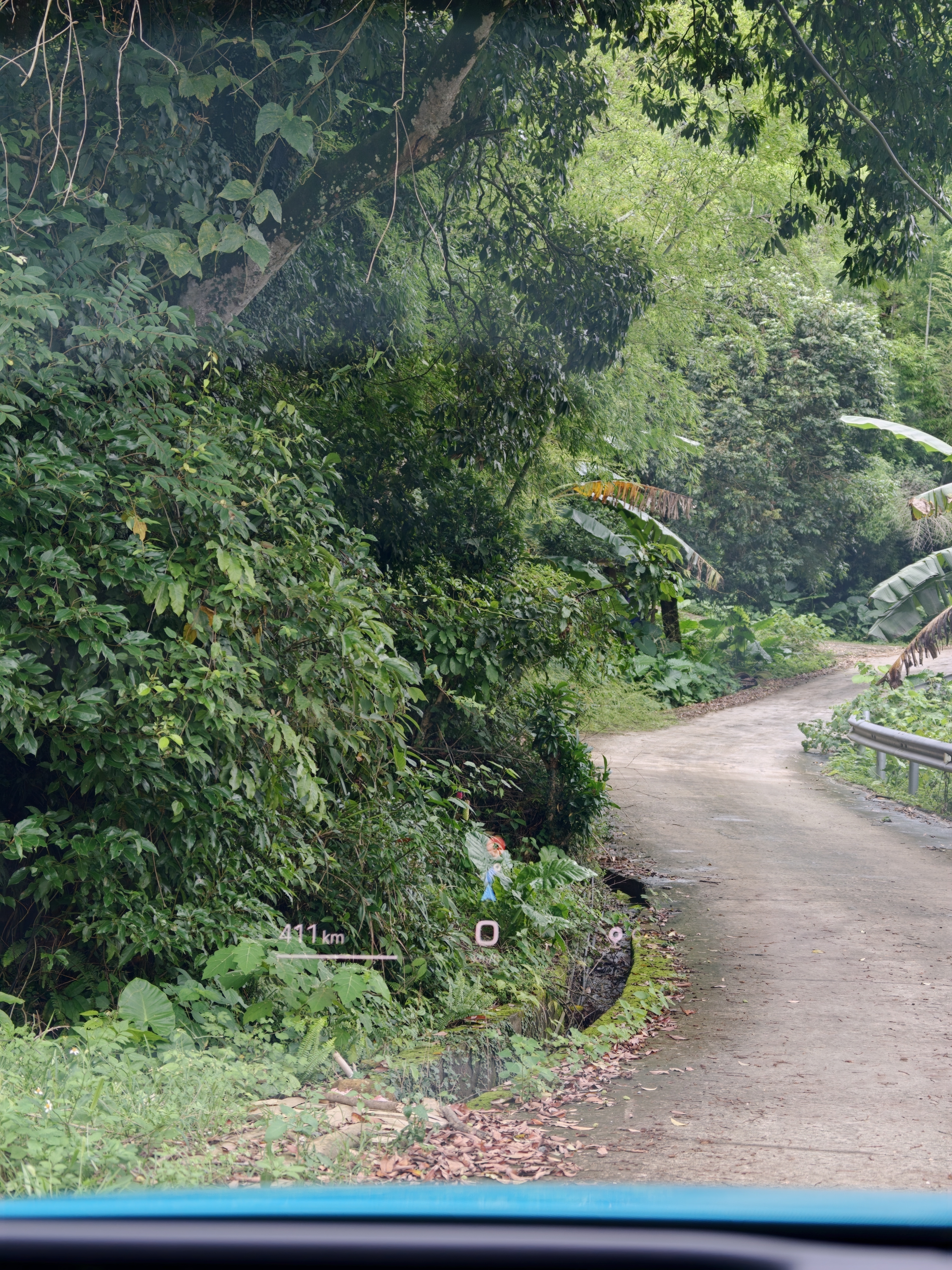 跑山里摘点自家种的杨梅我们这收购价没咋掉，但是外婆已经前几年开始就懒得卖了，量不