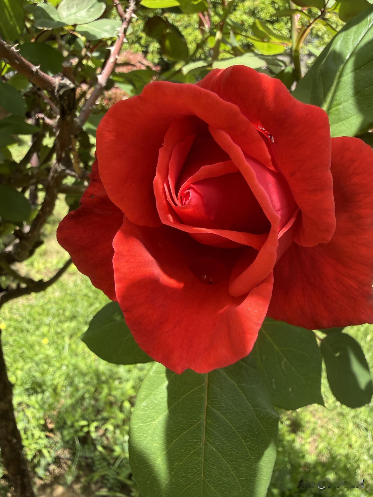 张雪峰的嘴有多厉害? 
【小对联】
上：海口；
下：……？