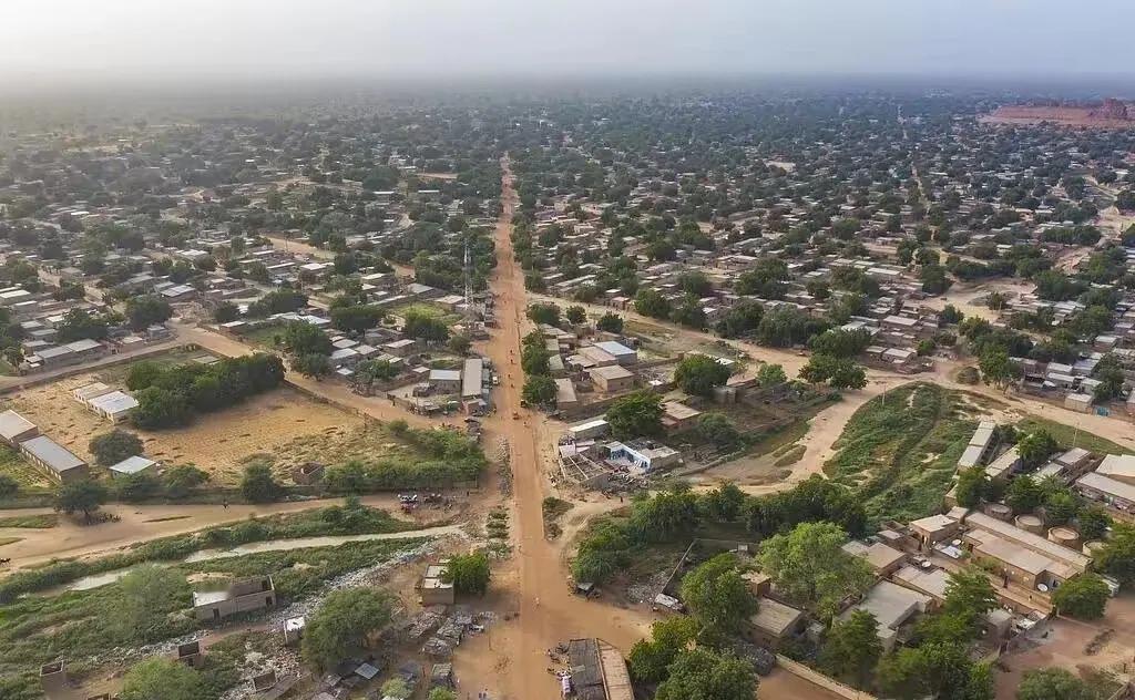 当地时间25日，一名尼日尔外交消息人士透露，针对美国限制尼公民入境，尼方已采取反