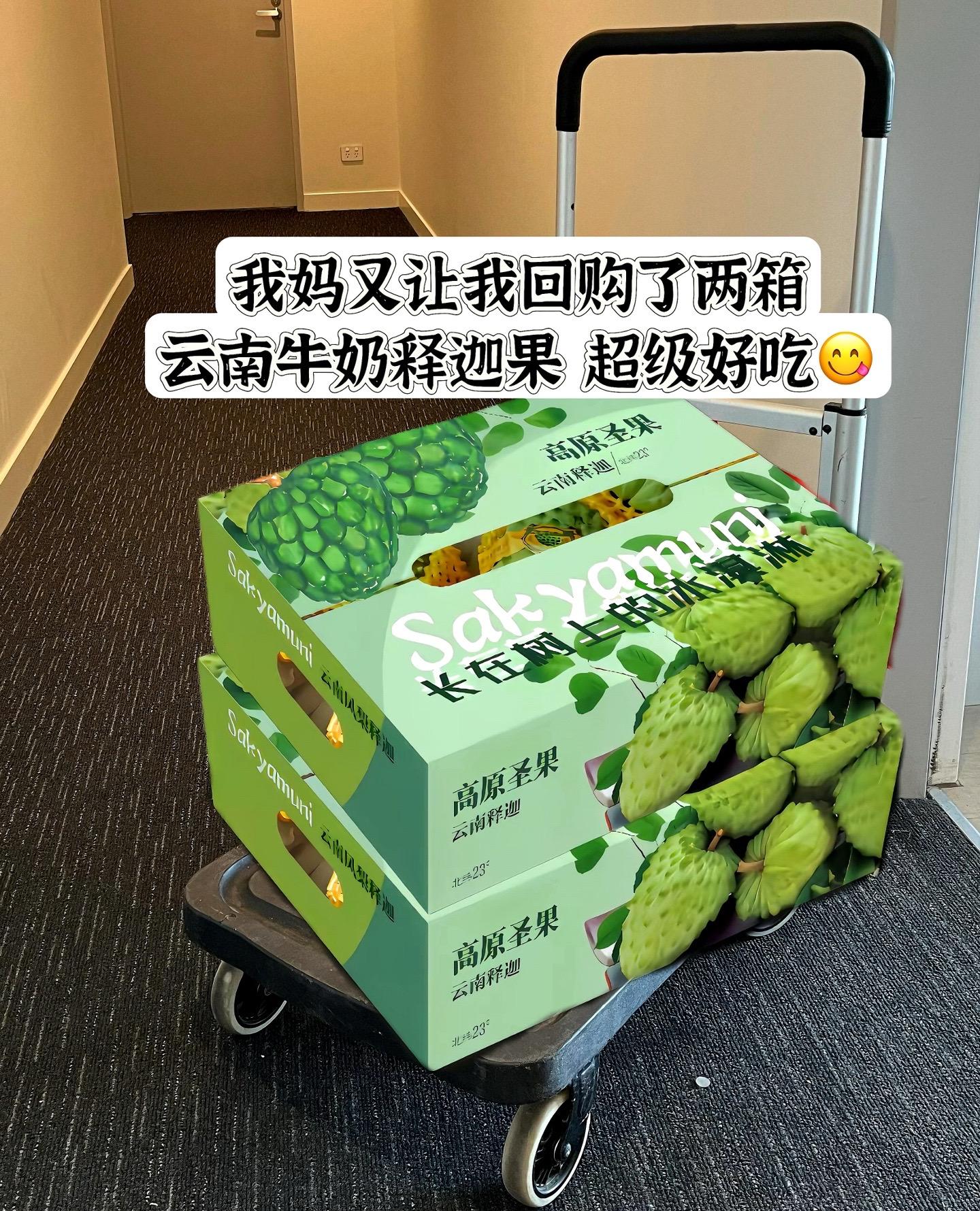 哇噻，我还是第一次吃这个云南释迦果，口感真的一口惊艳到我了！自带奶香味...