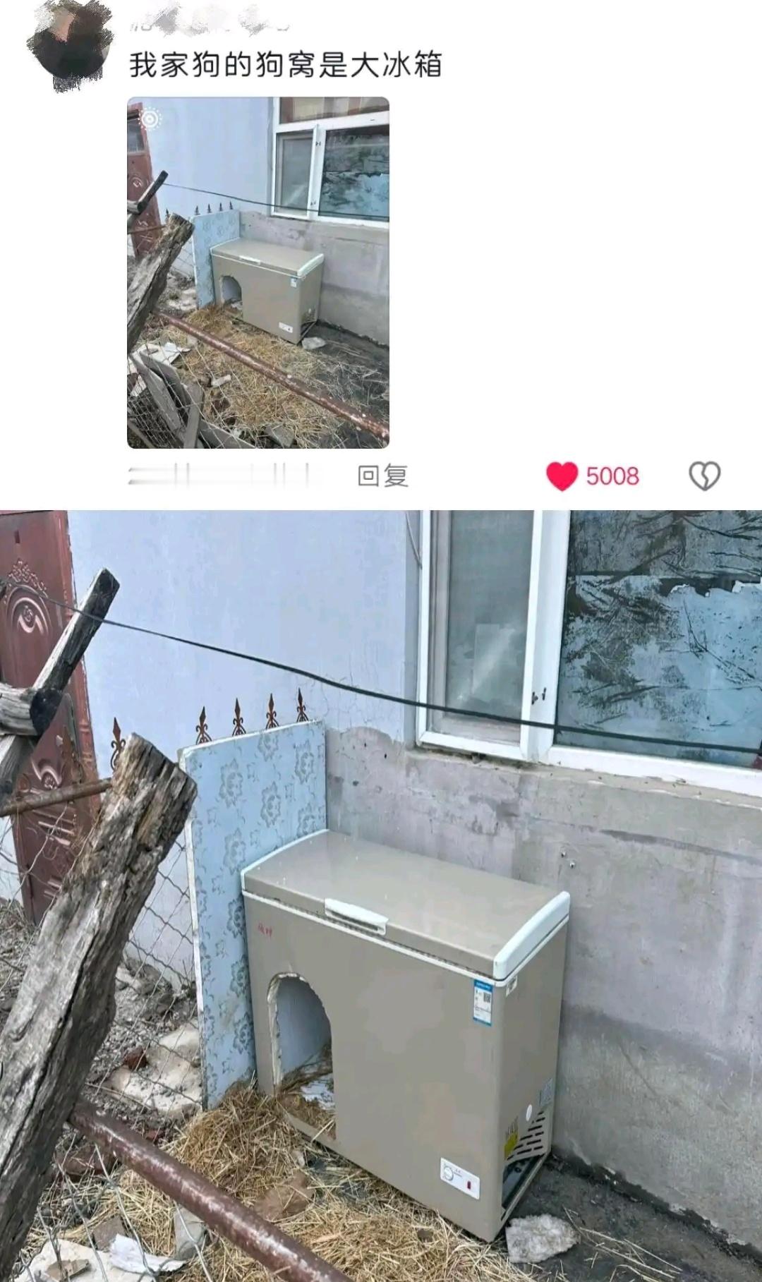 一生反断舍离的中国人，主打的就是一个变废为宝 