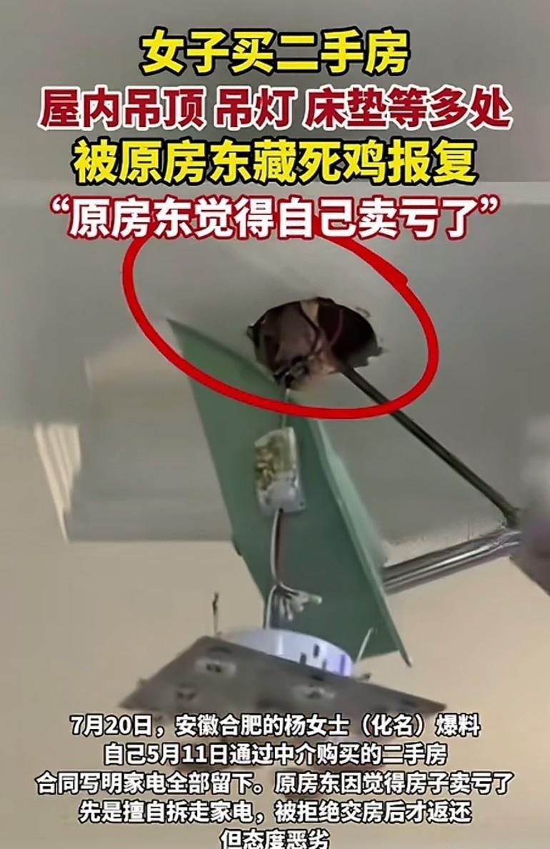 买卖纠纷，屋内惊现大量死鸡

房子觉得卖便宜了，可以不卖了啊！又拆家电，又往房顶