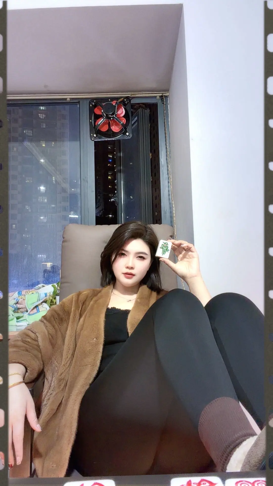 新年添金貂，招财又进宝