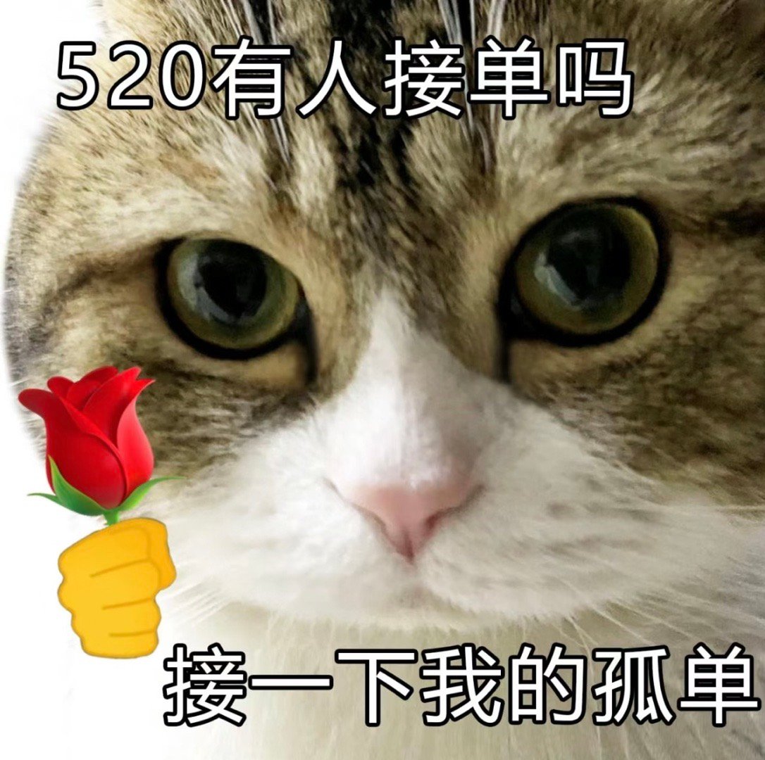 520有人接单吗接下我的孤单 ​​​