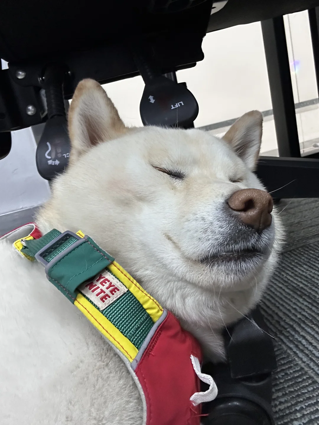 不用管我，我自己会找枕头