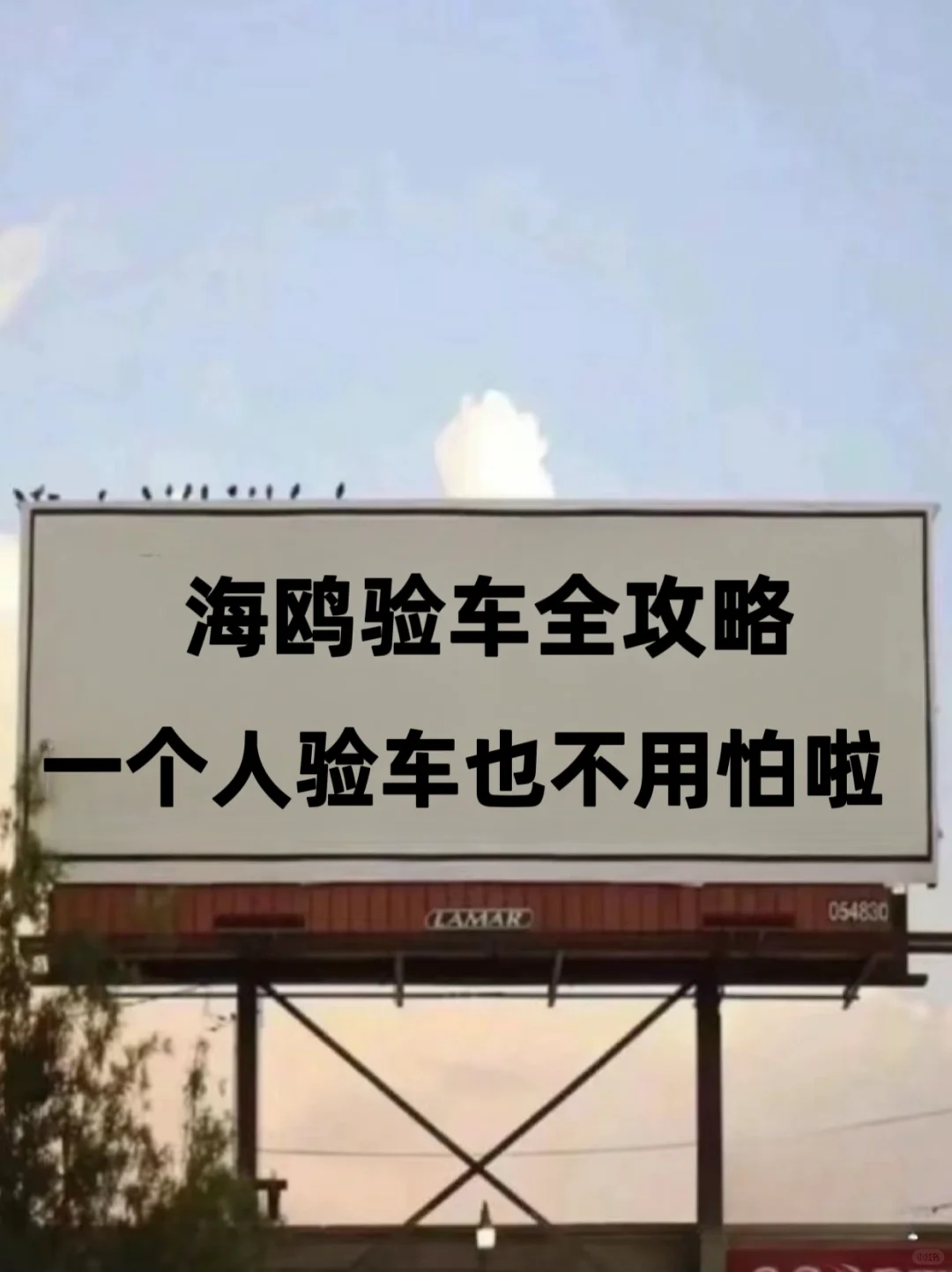 🙏愿准备买海鸥的姐妹都能刷到这篇