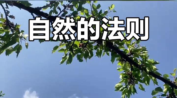 ＃这十点您听进去了，后半生就会过得无比快乐。不信您就试试？＃

续前——

第二