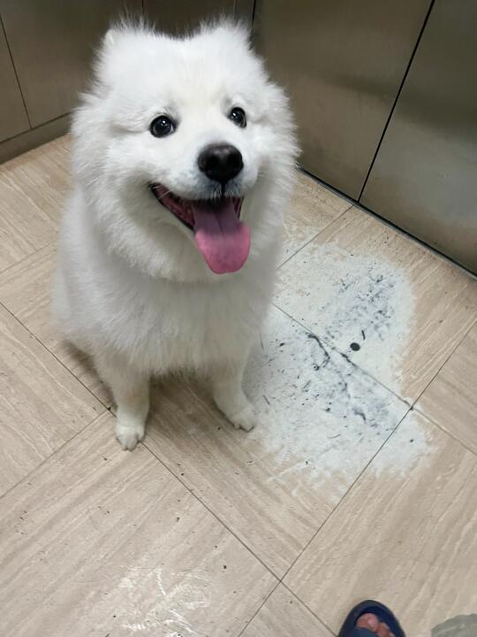 看到这个笑容，什么问题都忘掉