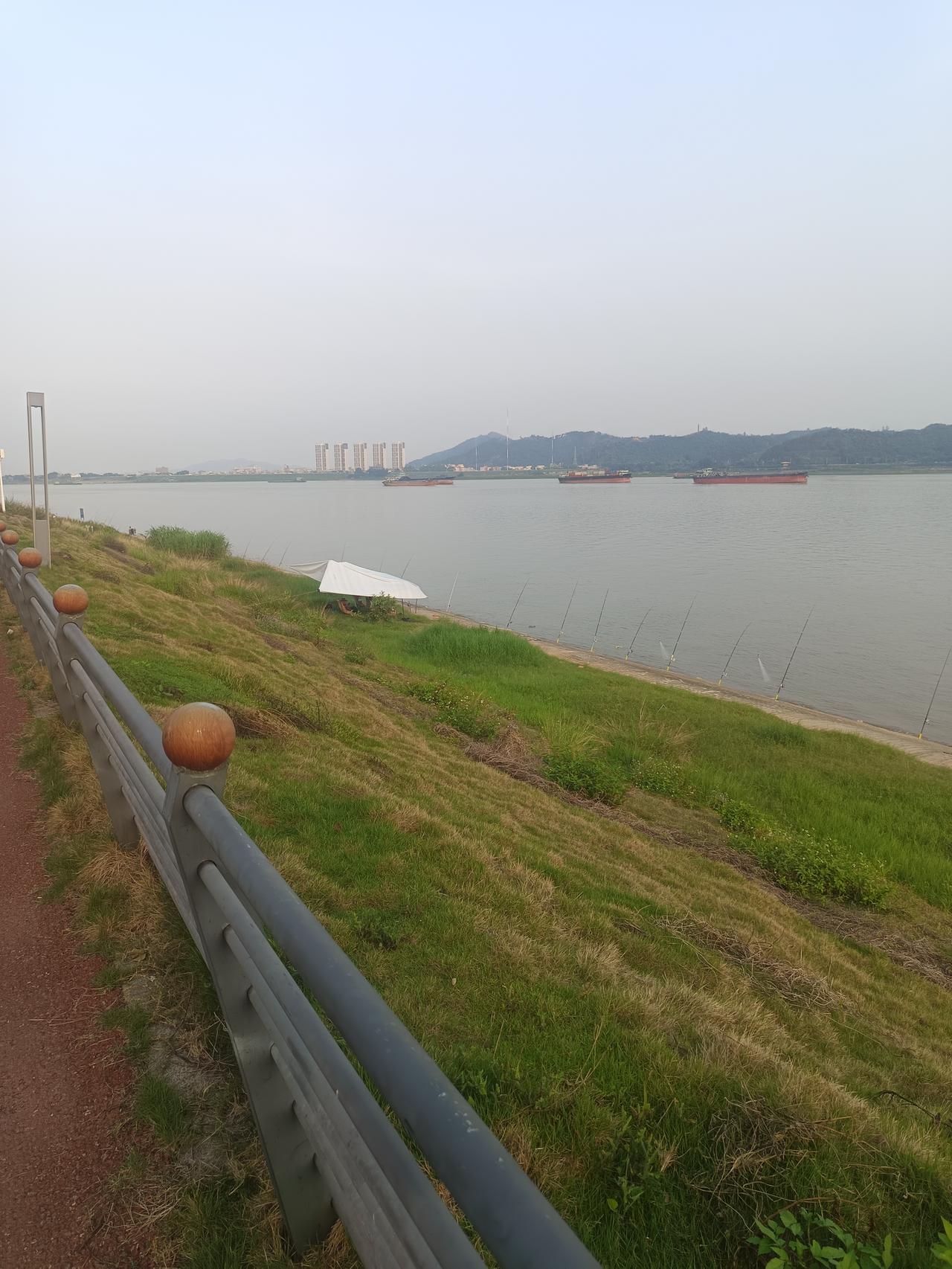 我在西江边
发现了一个很严重的问题
但不知道怎么说才好



你敢相信吗？竟然有