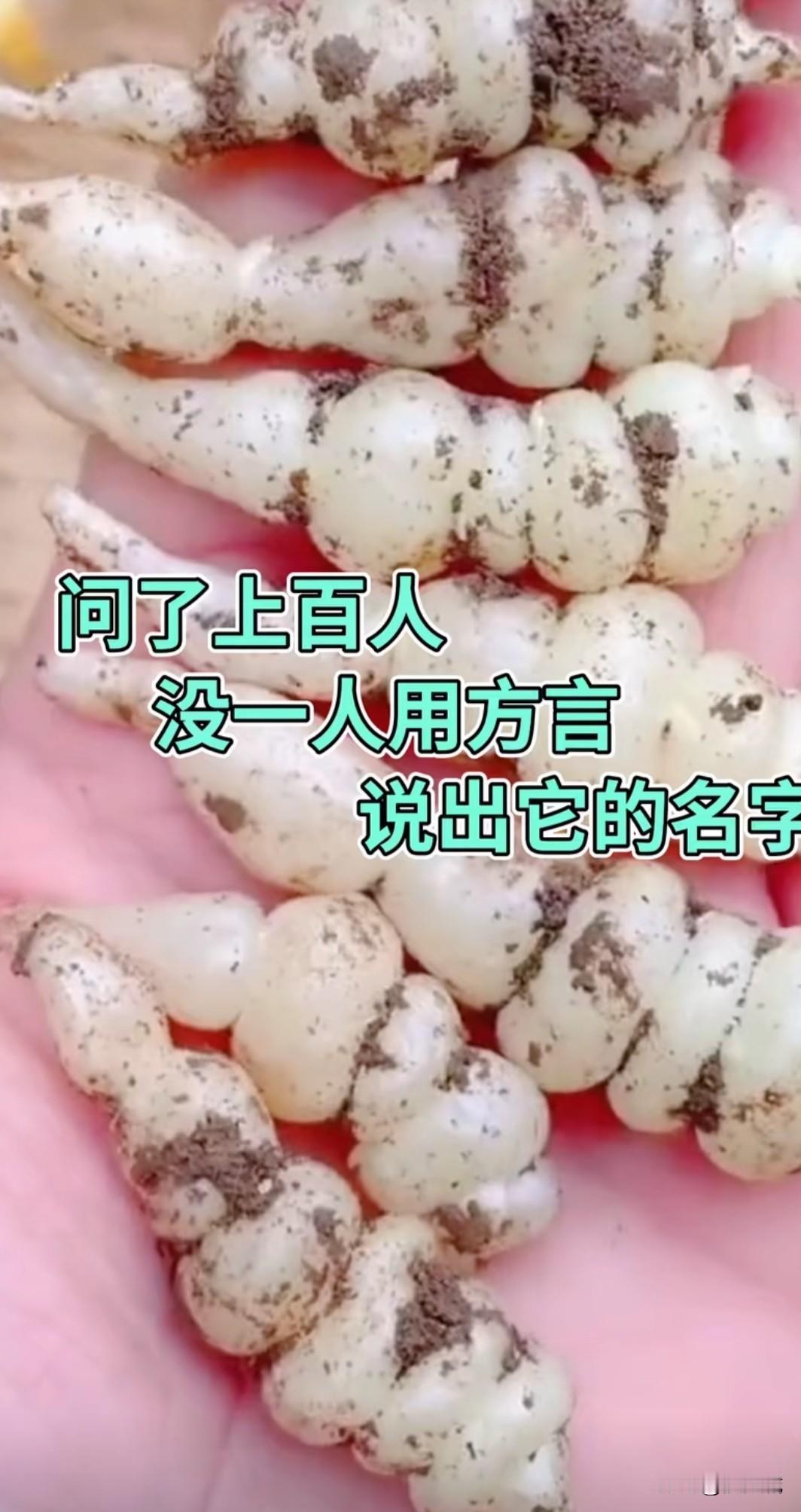 有能说出它名字的人吗？有的人是不是没有见过？