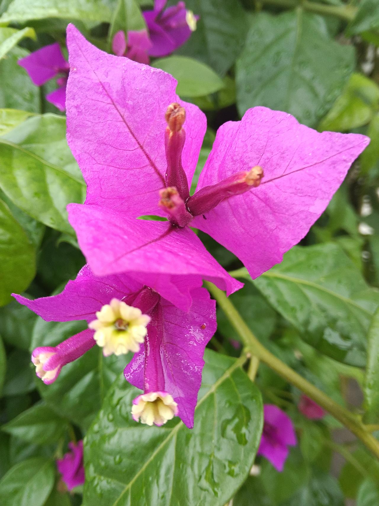 激烈战斗能够吸引观众的目光，增强影片的紧张感与观赏性。然而，一场精彩的战斗并非仅