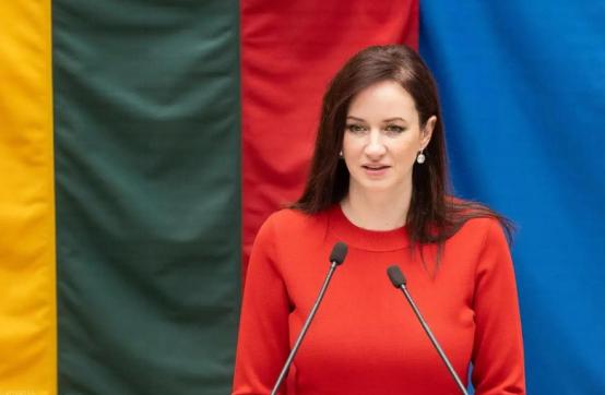 立陶宛请求访华，当面向中方认错？中方已开出条件，做不到就免谈
 
自从 2021