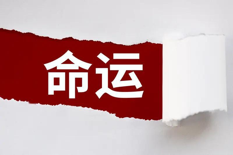 对于“人的命运天注定”，我可不太认同。之前刷到“985硕士送外卖”的视频，好多人