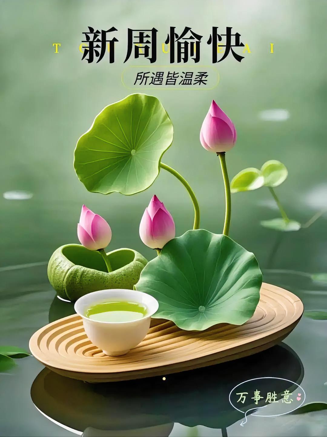 新周快乐！赏一池粉荷，品一盏清茶，所遇皆温柔，万事皆胜意。
每日晨光金句打卡
清