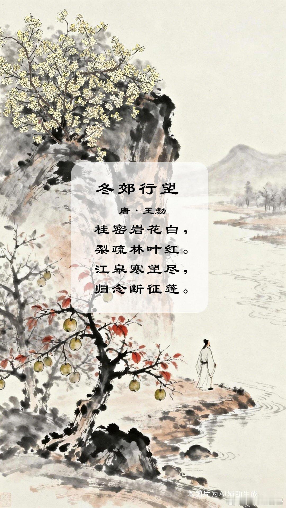 文化中国行 译文：长在山岩上的桂花很稠密，一片白色；梨树上的果实已稀疏了，树叶已