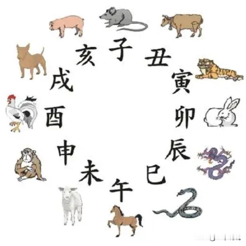 传统文化干货｜十二地支，古人流传千年的智慧编码

在中华传统文化里，十二地支绝非