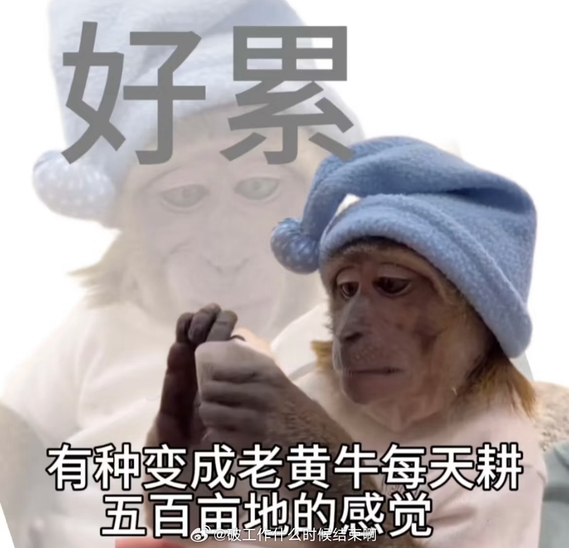 不想上班今天是胜利的日子，我被上班打败了、[费解]不想上课 只想看阅兵 ​​​