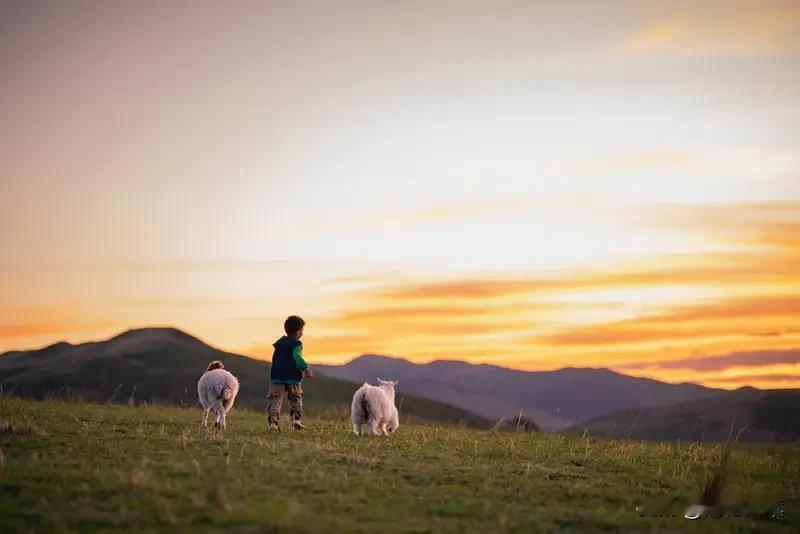 为什么说00后才是最好的一代父母，因为我们经历过不想让这些能够伤害一个人的事在出